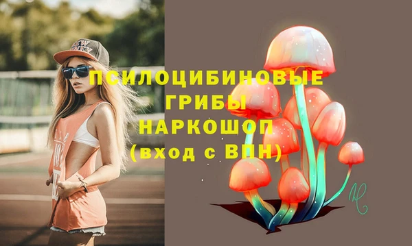 таблы Карпинск