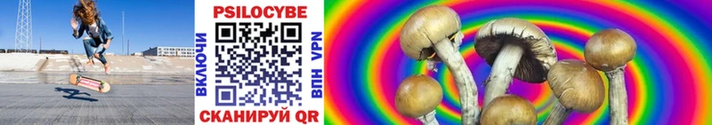 Купить закладки Горнозаводск Псилоцибиновые грибы Psilocybe
